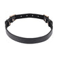 Sex & Mischief Double Buckle Day Collar