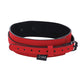 Sex & Mischief Amor Collar and Leash
